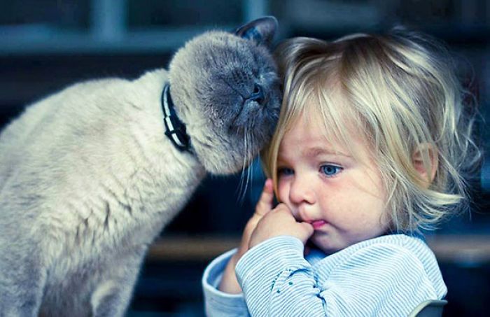 15 аргументов за то, что каждый ребенок должен воспитываться с животным