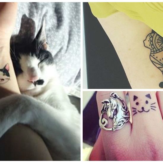 15 татуировок, которые будут любить всех котят