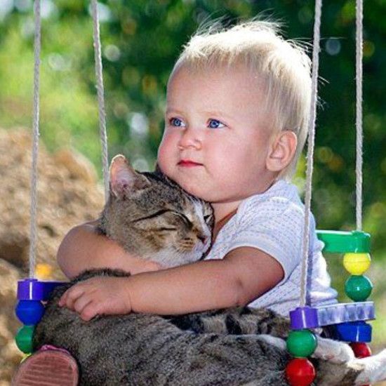 20 фотографий, которые доказывают, что каждый ребенок должен иметь кошку