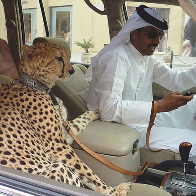 Типичный житель Дубая