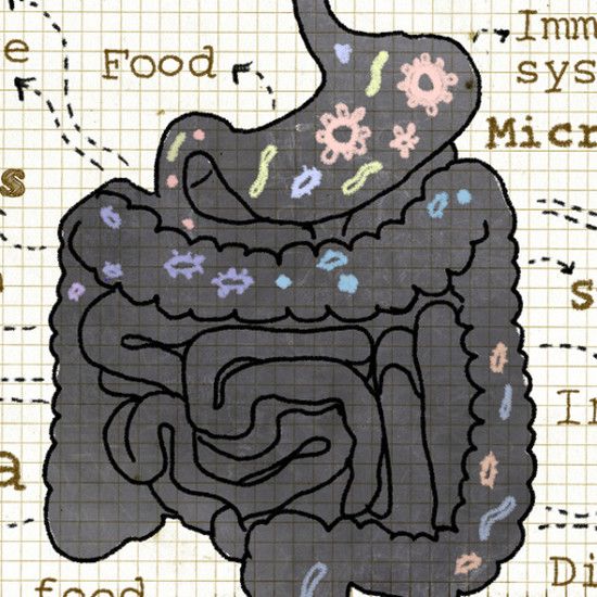 4 худшие вещи, которые вы можете лечить в кишечнике