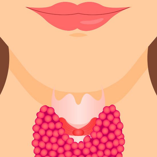 7 символов, которые показывают, что ваша щитовидная железа работает неправильно