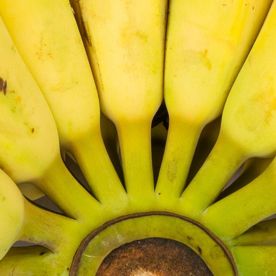 Банановая диета: правила сладкого меню