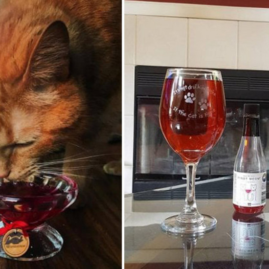 Было создано вино для собак и кошек: mosCAT и charDOGnay. Да, да, вы хорошо видите ...