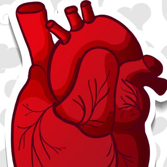 Даже месяцем ранее ваше тело предупредит вас о сердечном приступе. 5 символов - не стоит их недооценивать