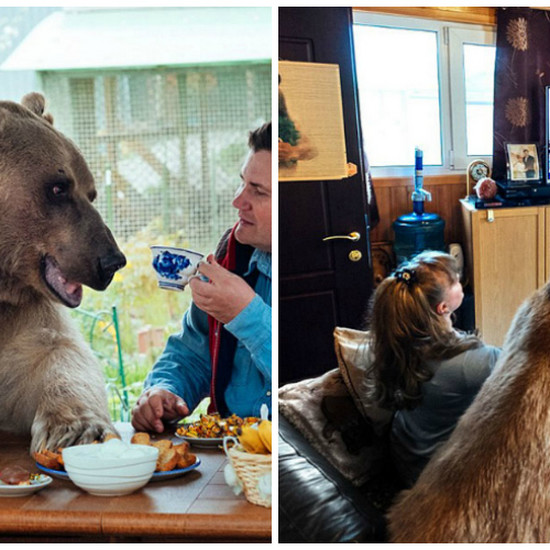 Ему 23 года и весит 150 кг - знаком с Штефаном, медведем, которого усыновила русская пара