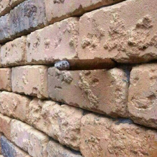 Эта оптическая иллюзия кирпичной стены действительно раздражает! Если вы ничего не найдете, вы не будете одиноки
