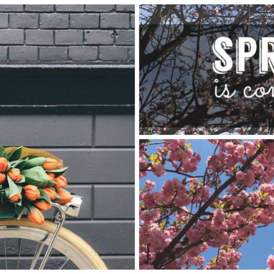 Красочный и стильный, прямо в весну! Самые красивые женские городские велосипеды для сезона 2016 года