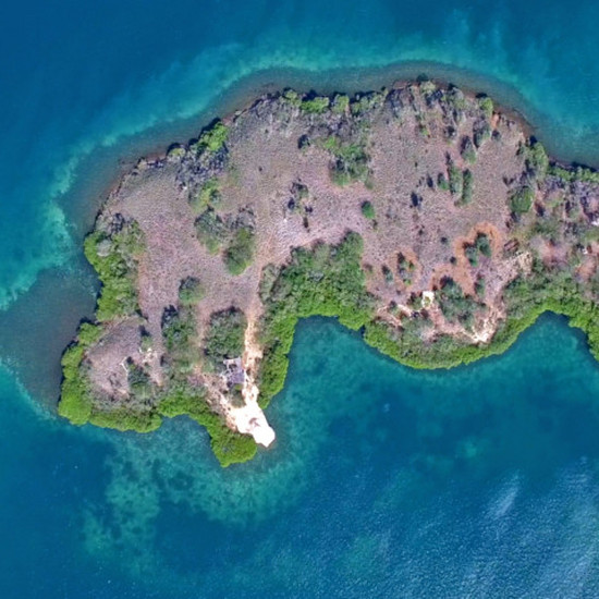 Купите себе остров в Карибском бассейне и предложите цену самостоятельно!