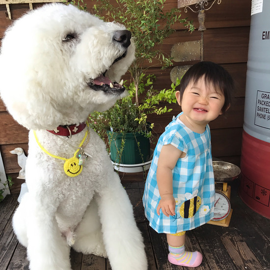 Маленькая, сладкая японская девушка и ее большой пудель неразделимы. Мы желаем этой дружбы всем!