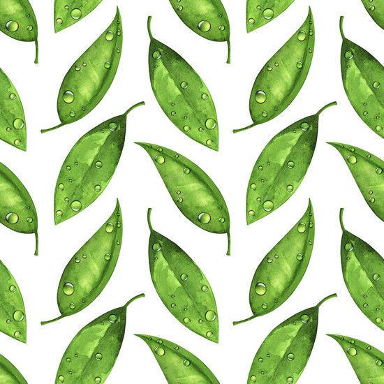 20 удивительных применений масла чайного дерева (стоимость: менее 20 злотых!)