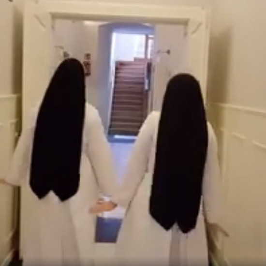 Монахини, притворяясь пингвинами, собирают деньги, чтобы построить дом для мальчиков-инвалидов