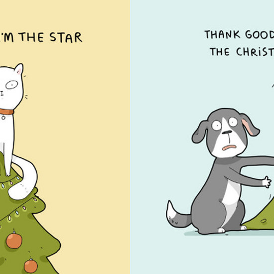 Настоящее лицо Рождества с домашними животными - только его владельцы поймут это