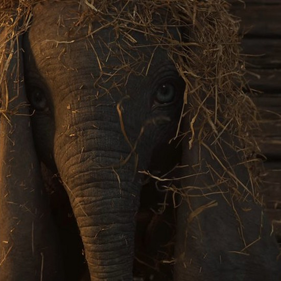 Новый фильм о слоне Дамбо - сам трейлер движется и восхищается