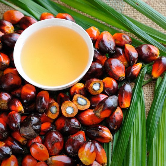 Пальмовое масло - это действительно вредно?