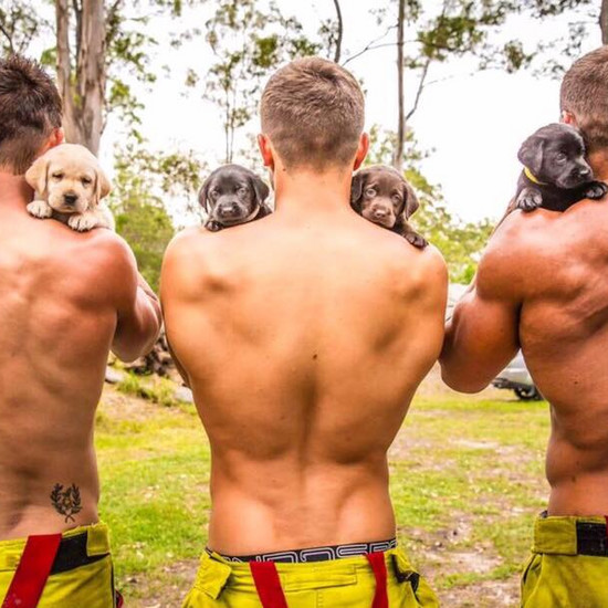 Это HOT! Пожарные представляют календарь с щенками и делают наши ноги более мягкими