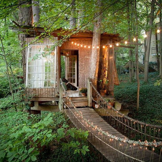 Праздники на дереве? Этот волшебный дом является самым желанным местом на Airbnb