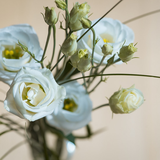 Эустома. Она - самый часто используемый цветок для свадебного букета
