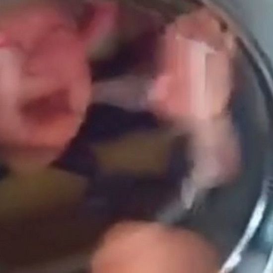 Они закрыли плачущего Кацара в стиральной машине. Они бросили фильм онлайн, благодаря чему они подошли