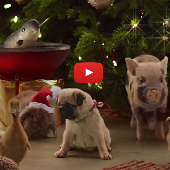 Рождественская реклама сладкая, как щенки. И еще несколько чудес ...