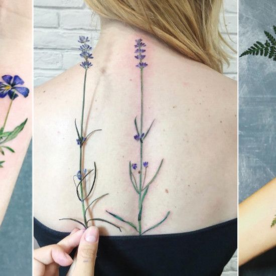 Татуировки растений, которые идеально имитируют настоящие цветы, травы и травы. Они выглядят так естественно! Красивая!
