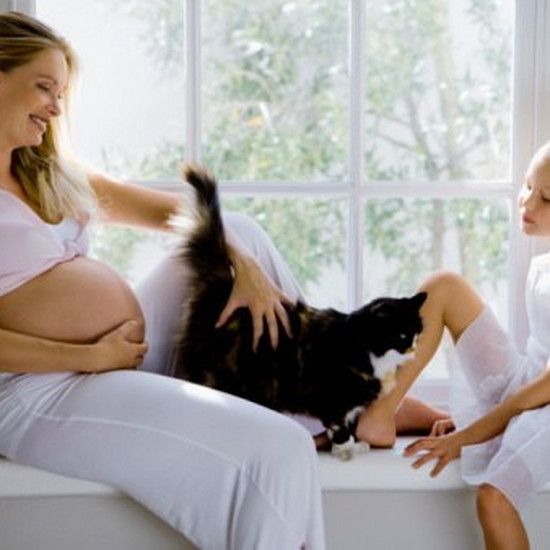 Токсоплазмоз во время беременности - как предотвратить и вылечить?