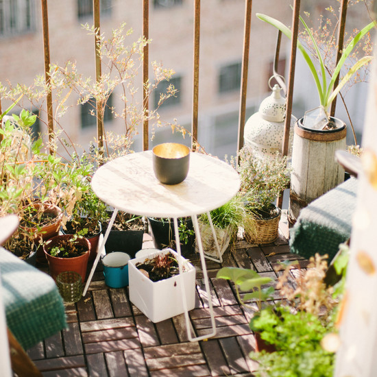 Травы, которые будут работать на балконе: 10 лучших + секретов, как их выращивать