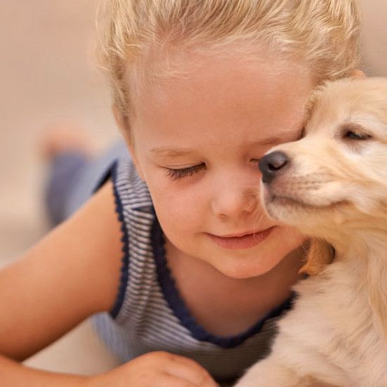 У детей, которые растут с собаками, реже развивается серьезное заболевание