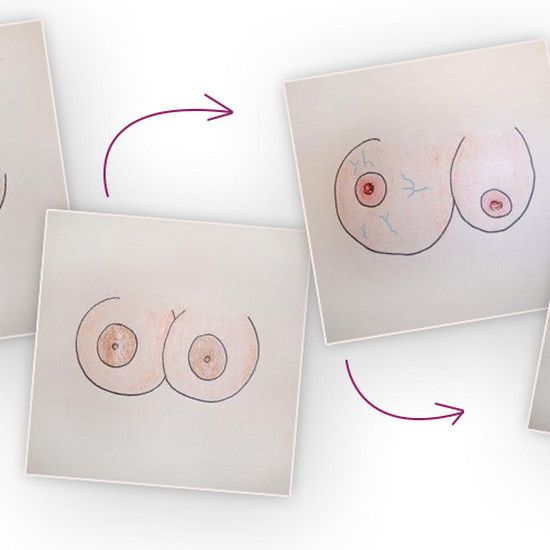 Жизненный цикл женской груди в 4 рисунка: от живых шаров, до молочных банок и ушей спаниеля